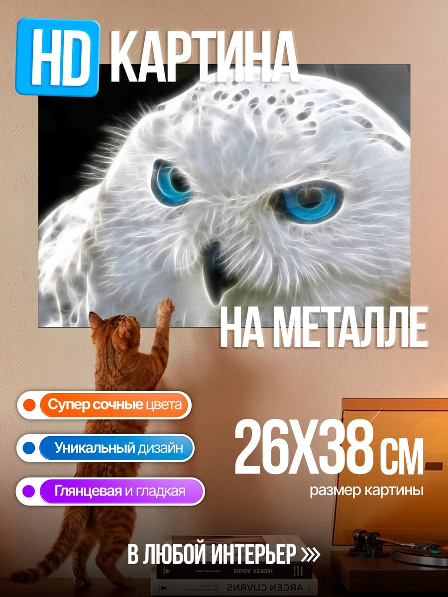Картина на металле Белая сова с глазами