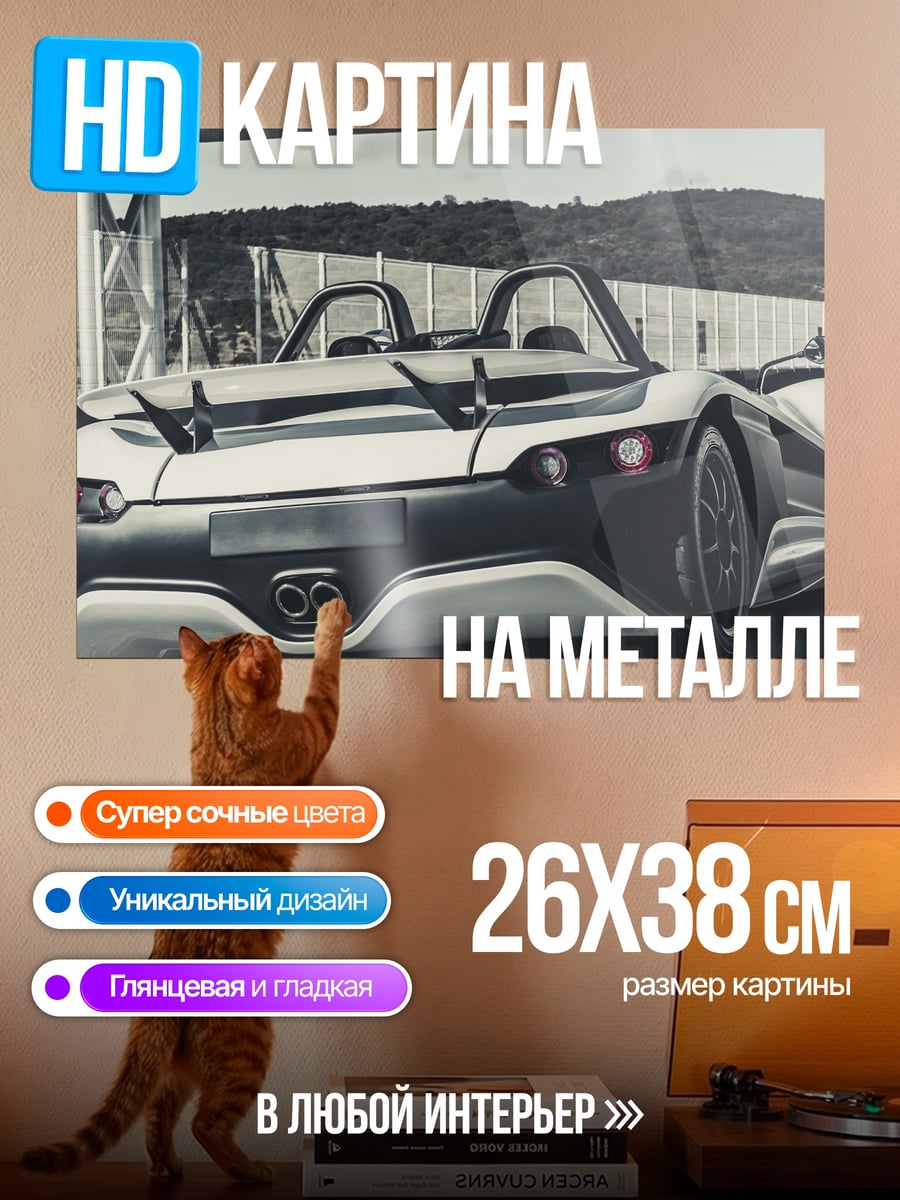 Картина на металле Спортивный кабриолет