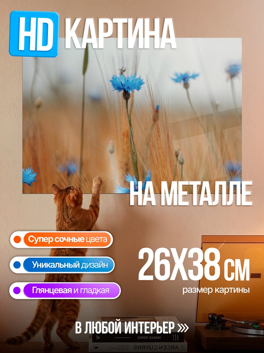 Картина на металле Поле с васильками