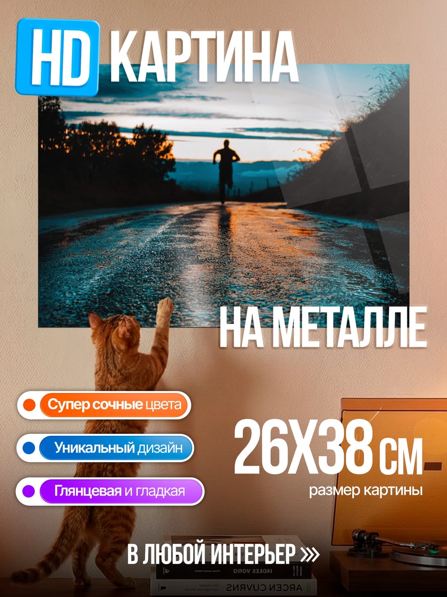 Картина на металле Бегун на закате