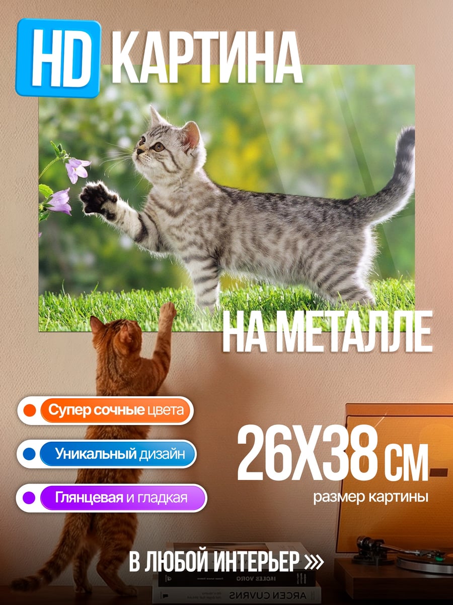 Картина на металле Котёнок и цветы