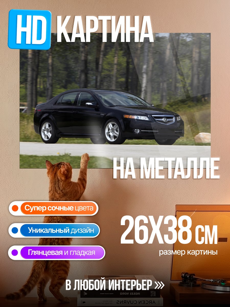 Картина на металле Черный Акура