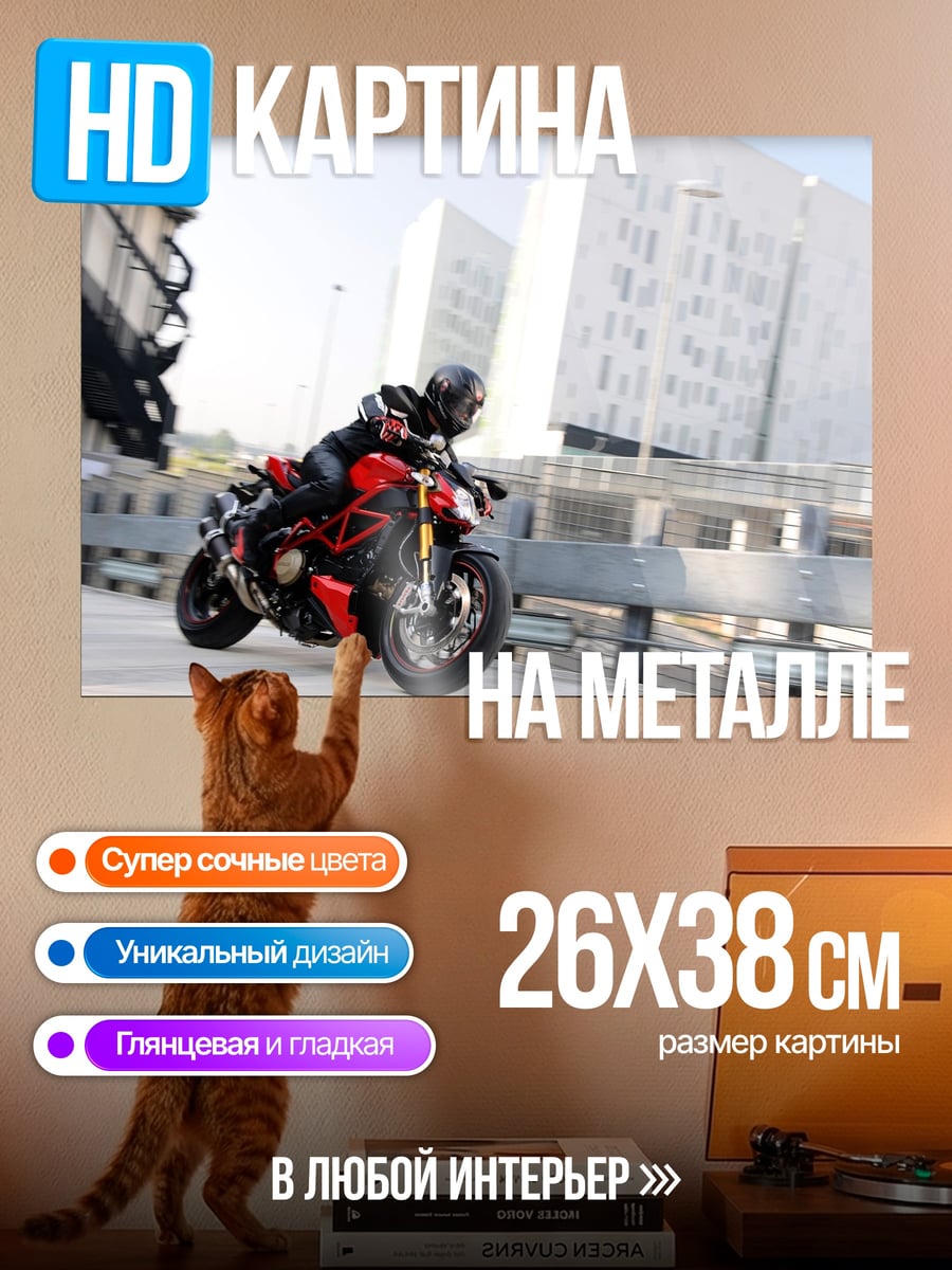 Картина на металле Мотоциклист в городе