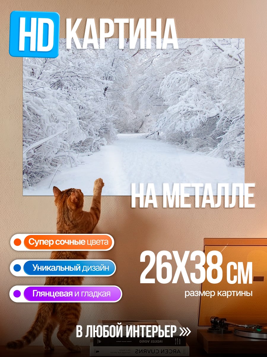 Картина на металле Зимняя дорога в лесу