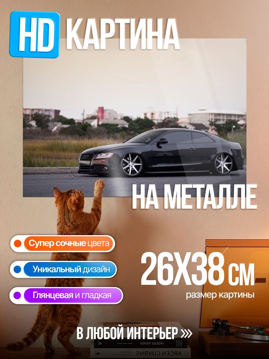 Картина на металле Черный седан на дороге
