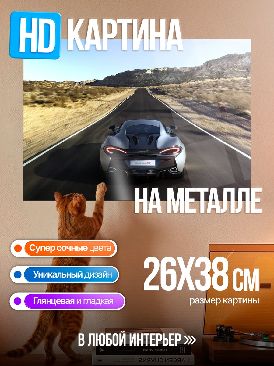 Картина на металле Спортивный автомобиль на трассе