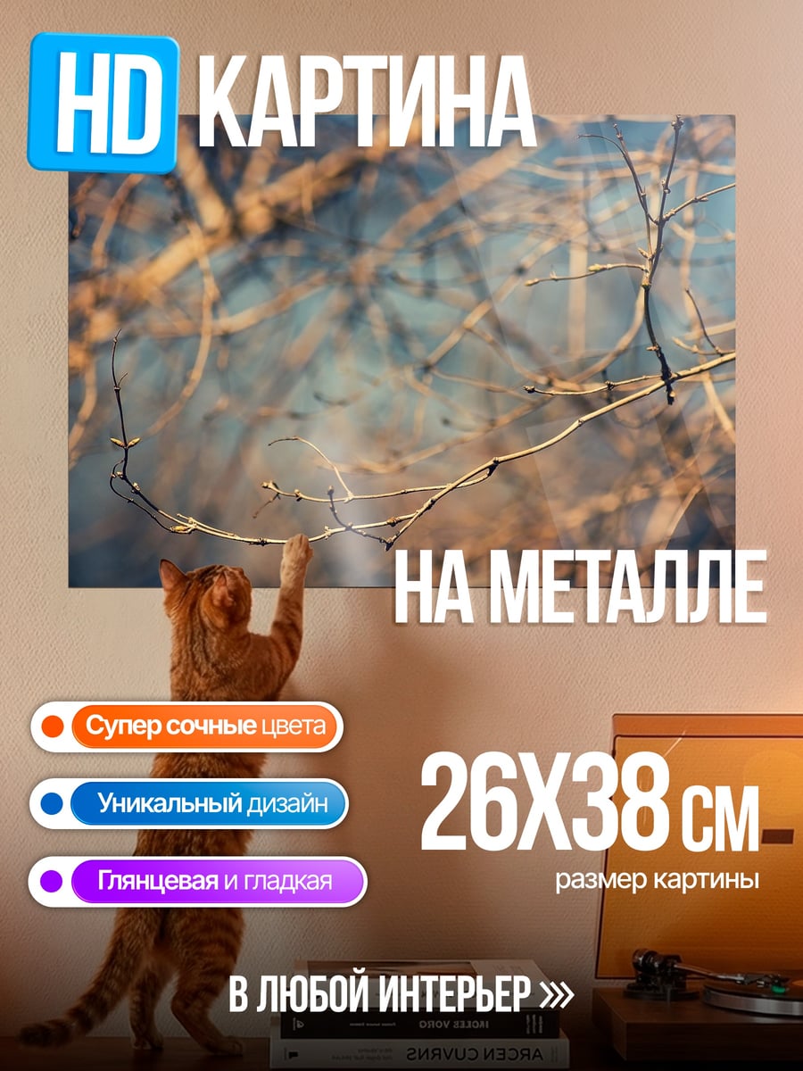 Картина на металле Паутина на ветках