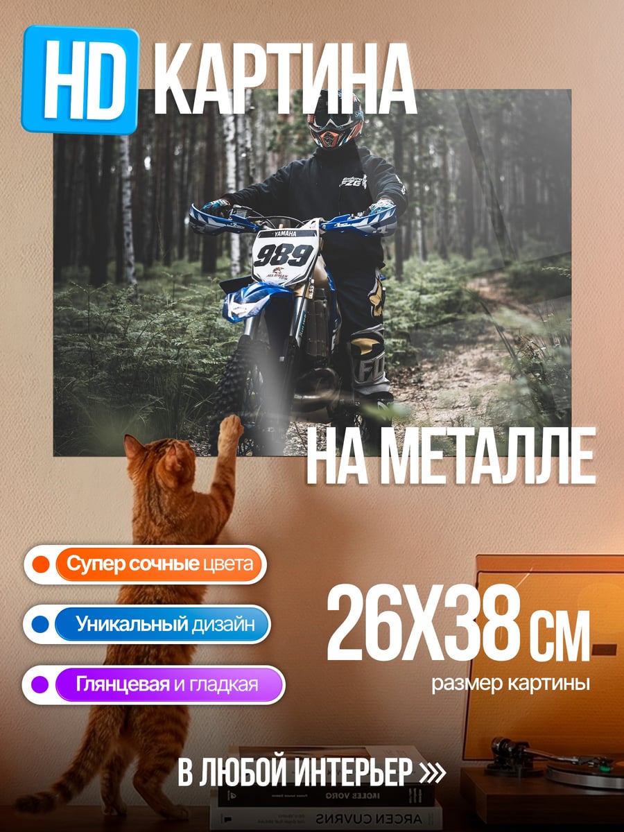 Картина на металле Мотоциклист в лесу
