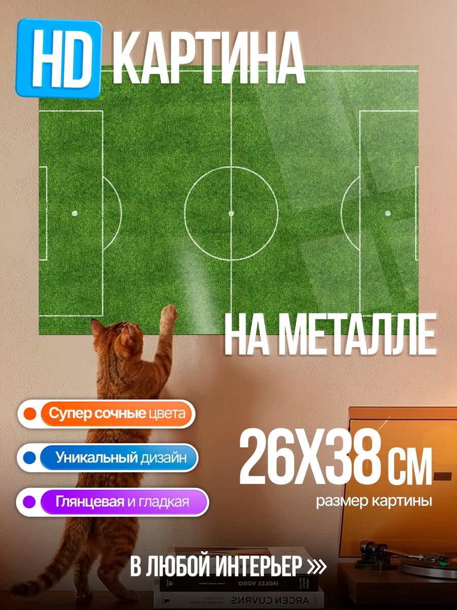 Картина на металле футбольное поле