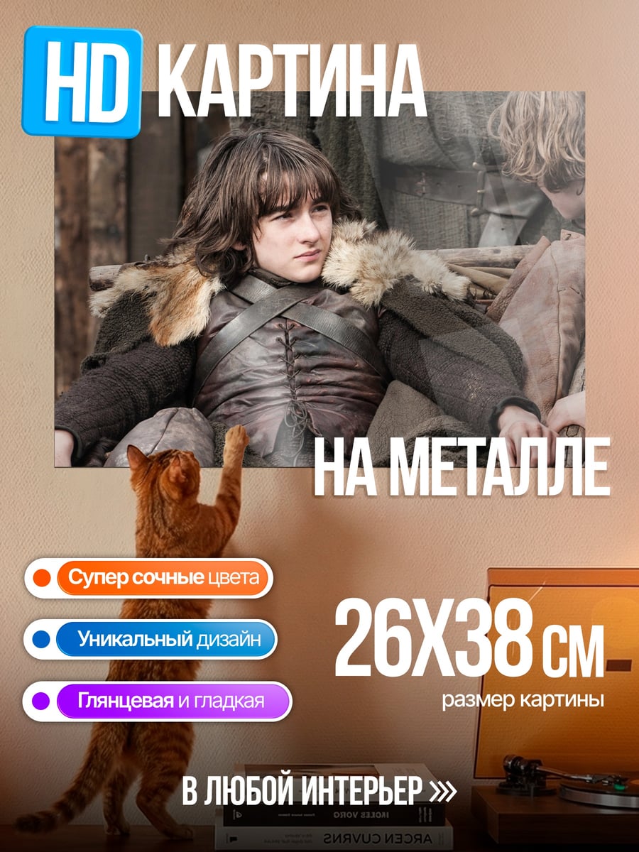 Картина на металле Бран Старк