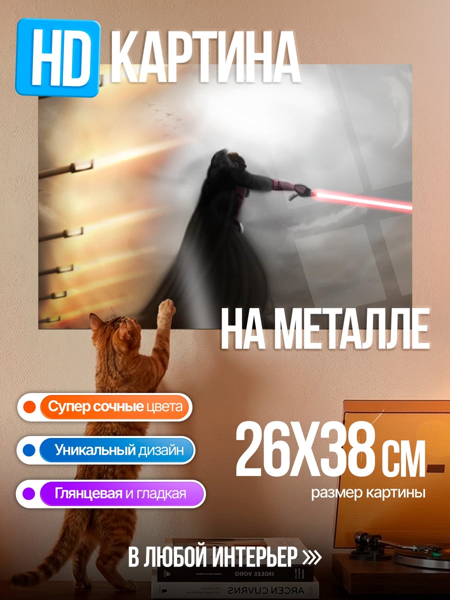 Картина на металле Ситх с мечом