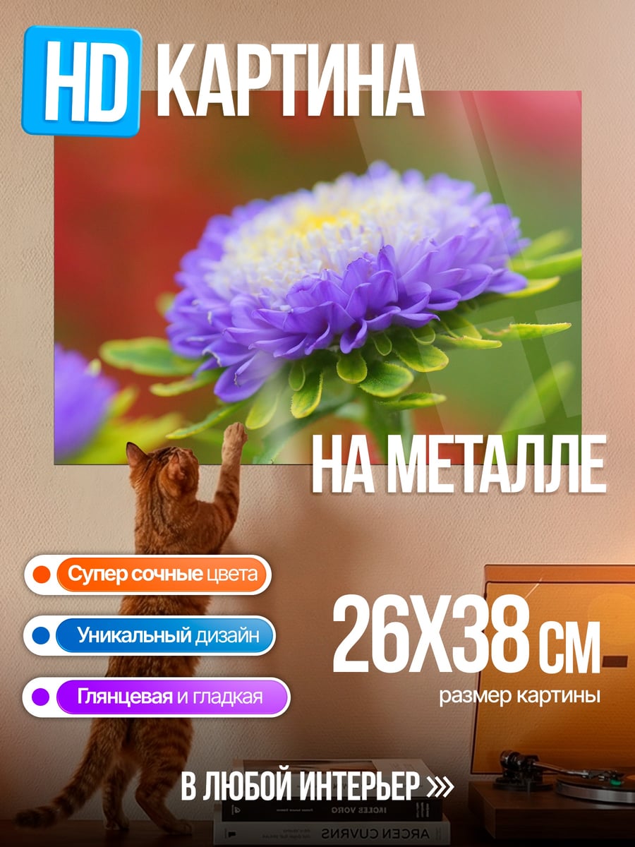 Картина на металле Фиолетовый цветок