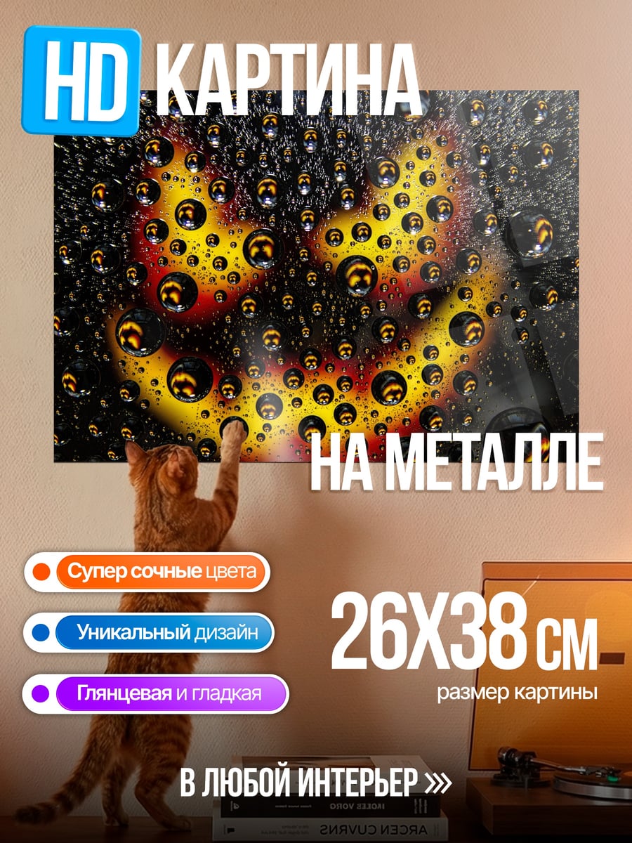 Картина на металле Тыква с каплями