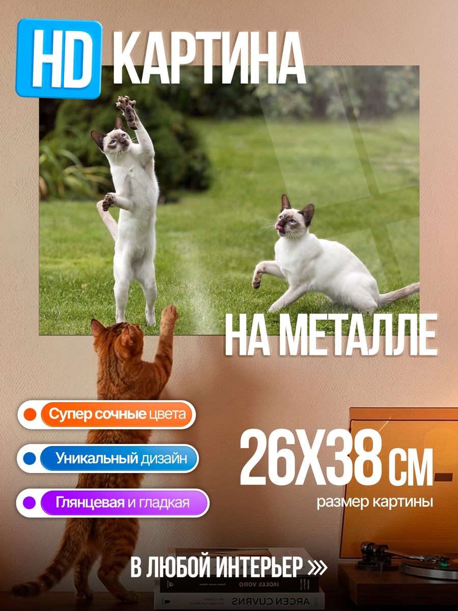 Картина на металле кошки на траве