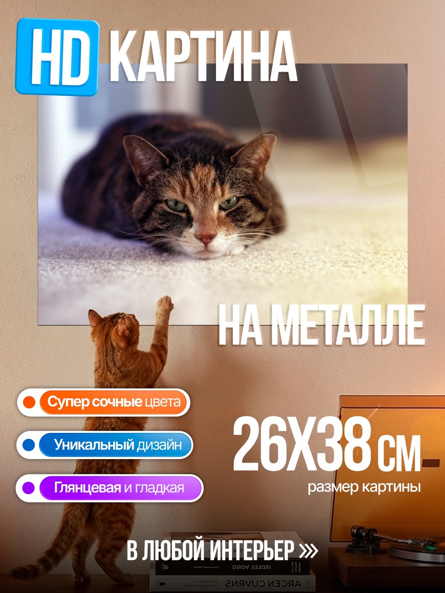 Картина на металле кот на ковре