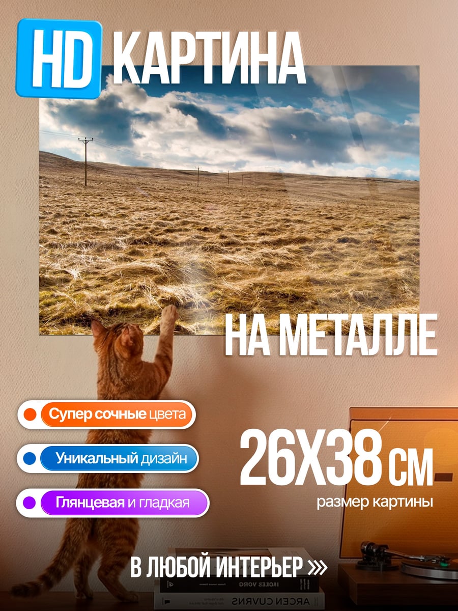 Картина на металле Сухая трава под небом