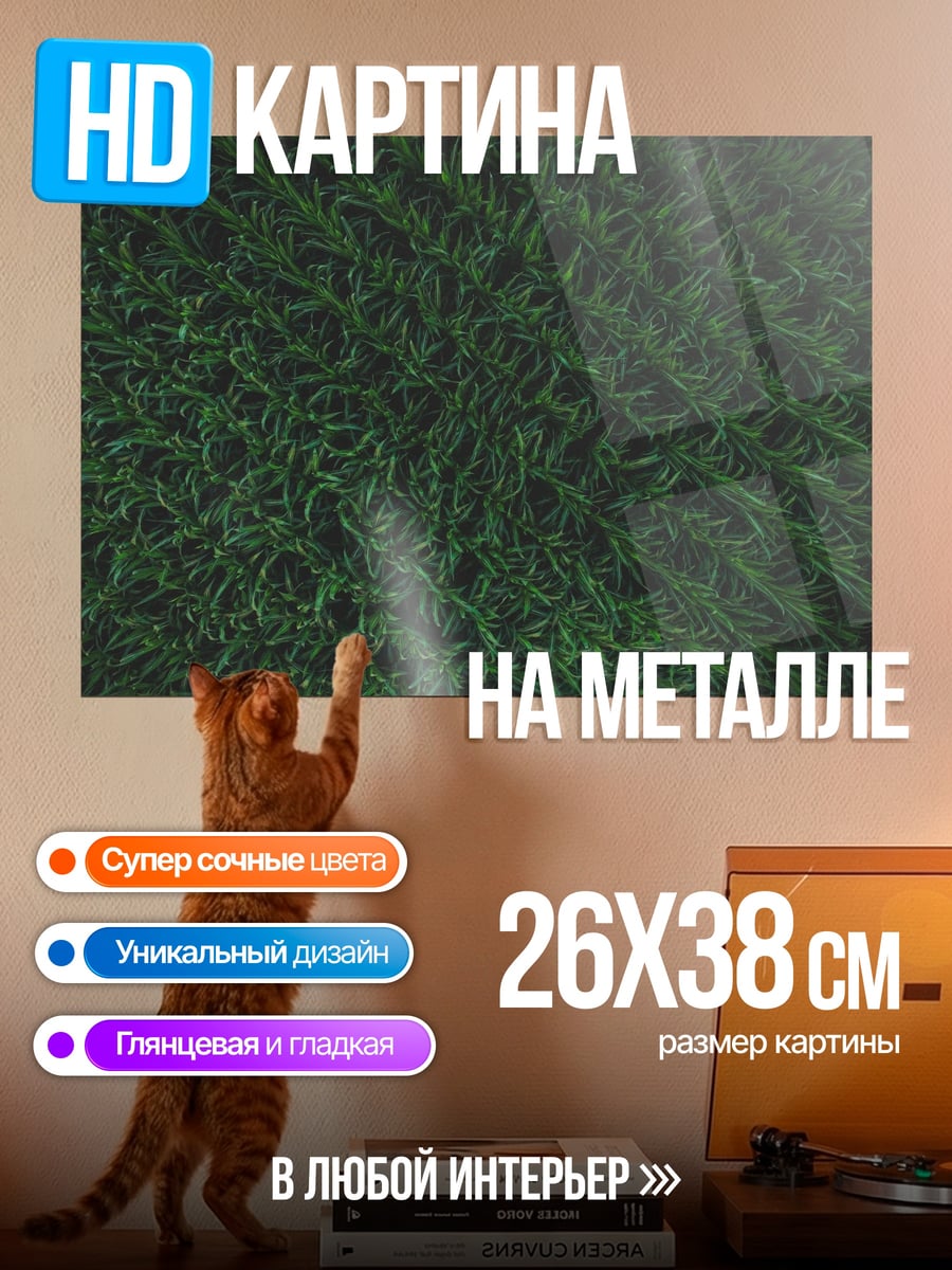 Картина на металле Зеленая трава крупным планом