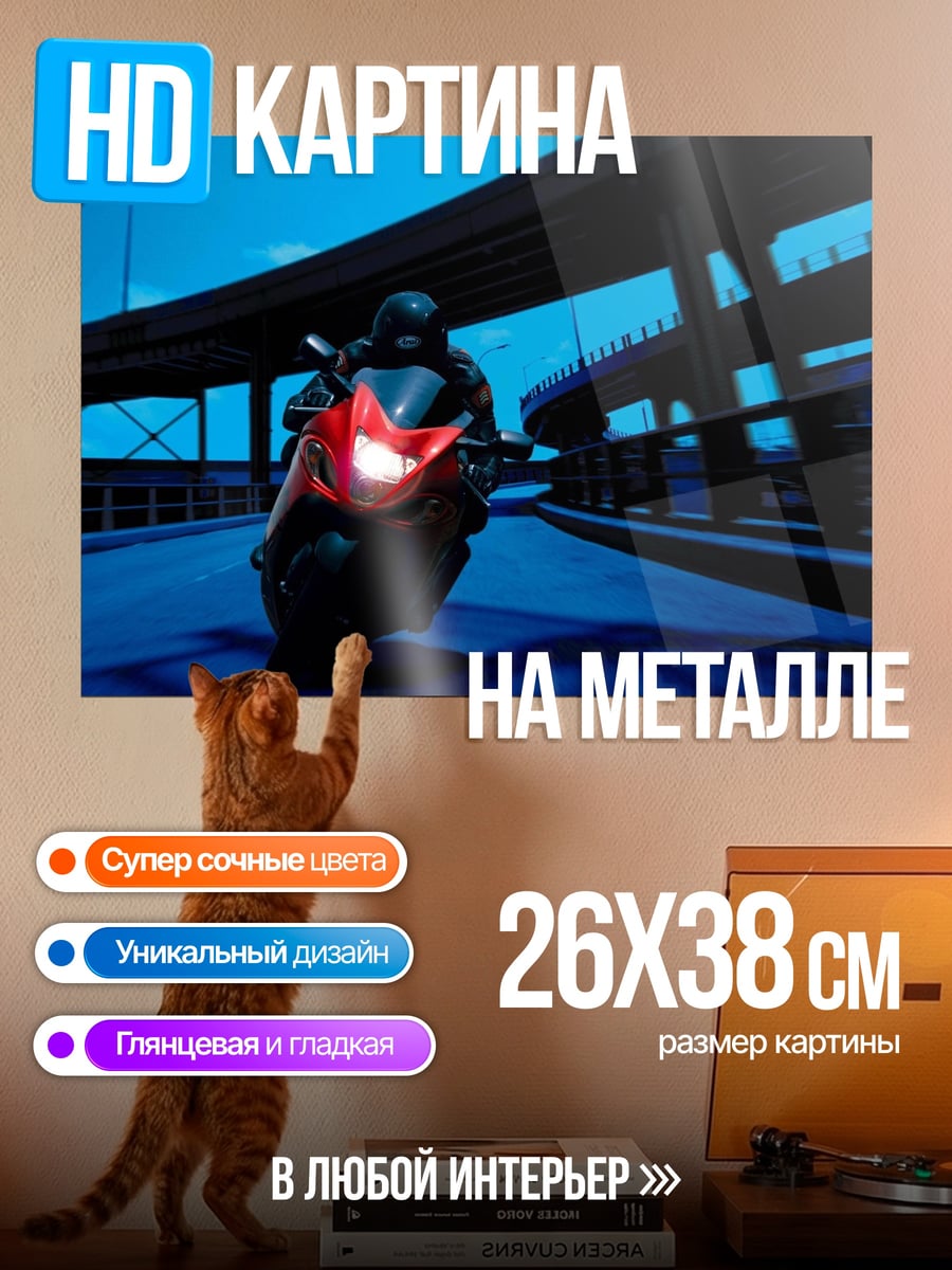 Картина на металле Мотоциклист в тоннеле