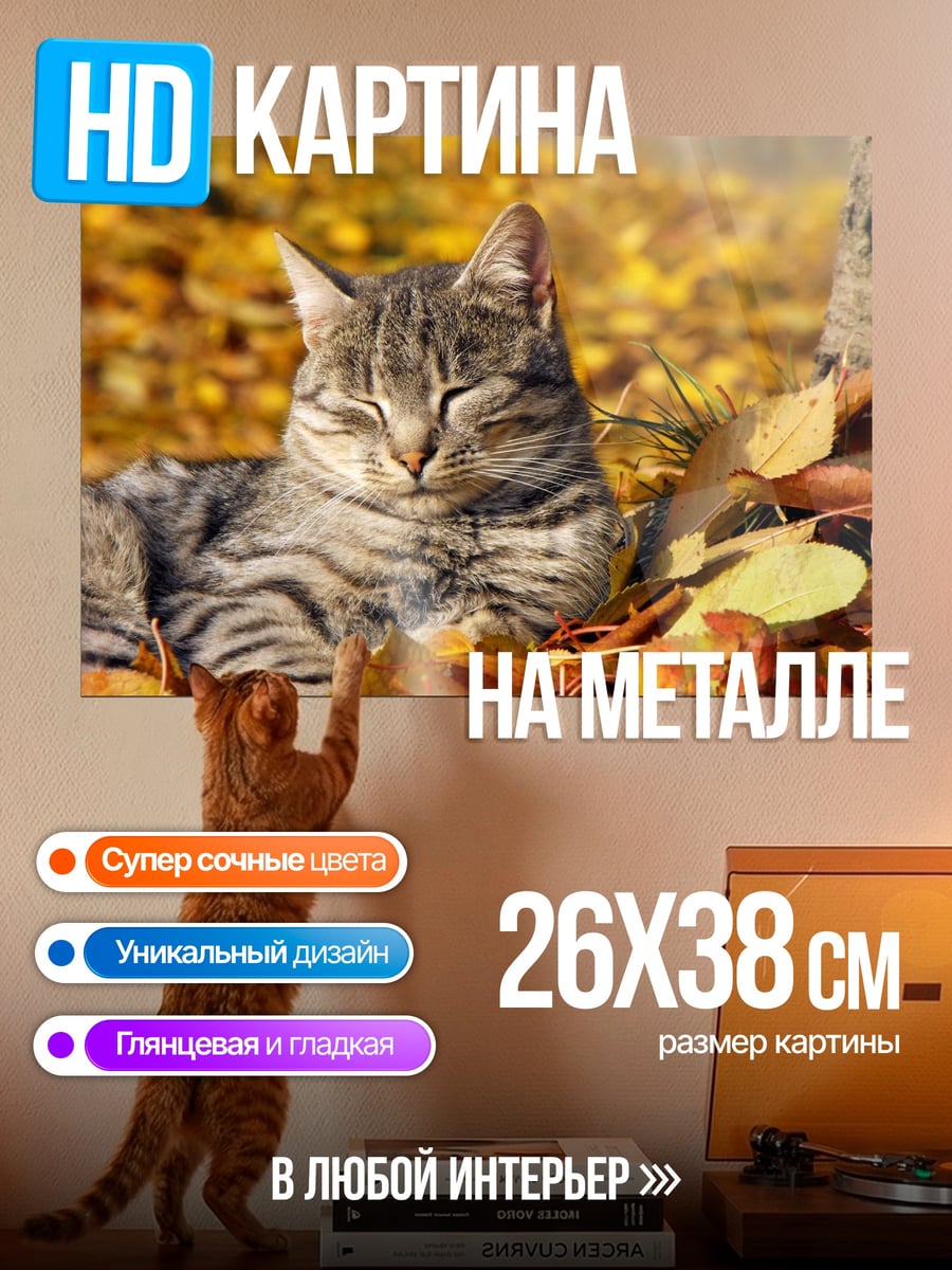 Картина на металле Кот осенние листья