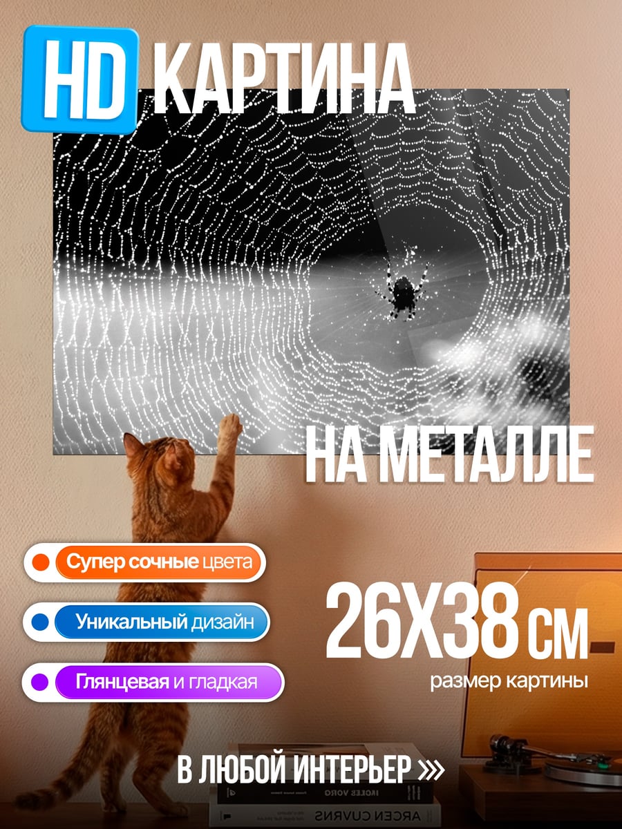 Картина на металле Паутина с росой