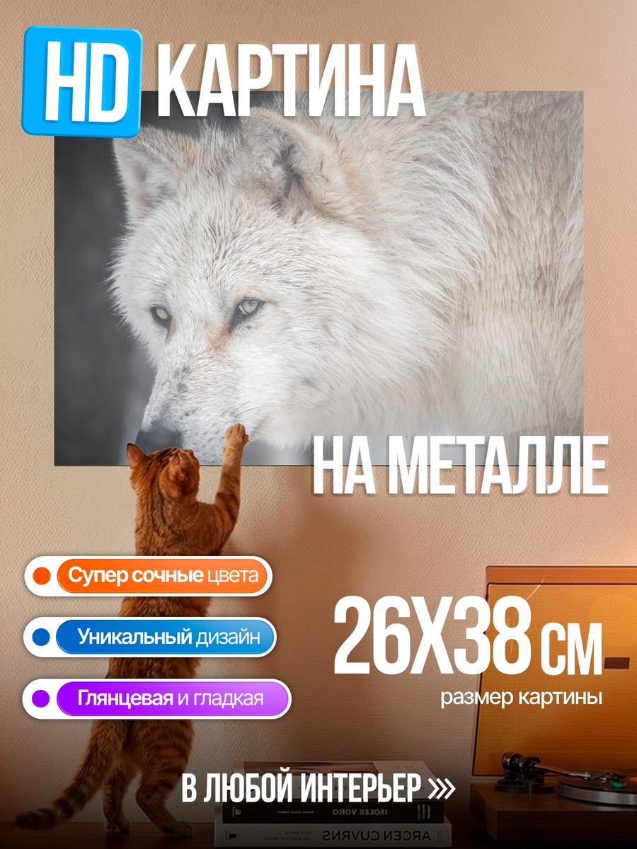 Картина на металле Белый волк в снегу