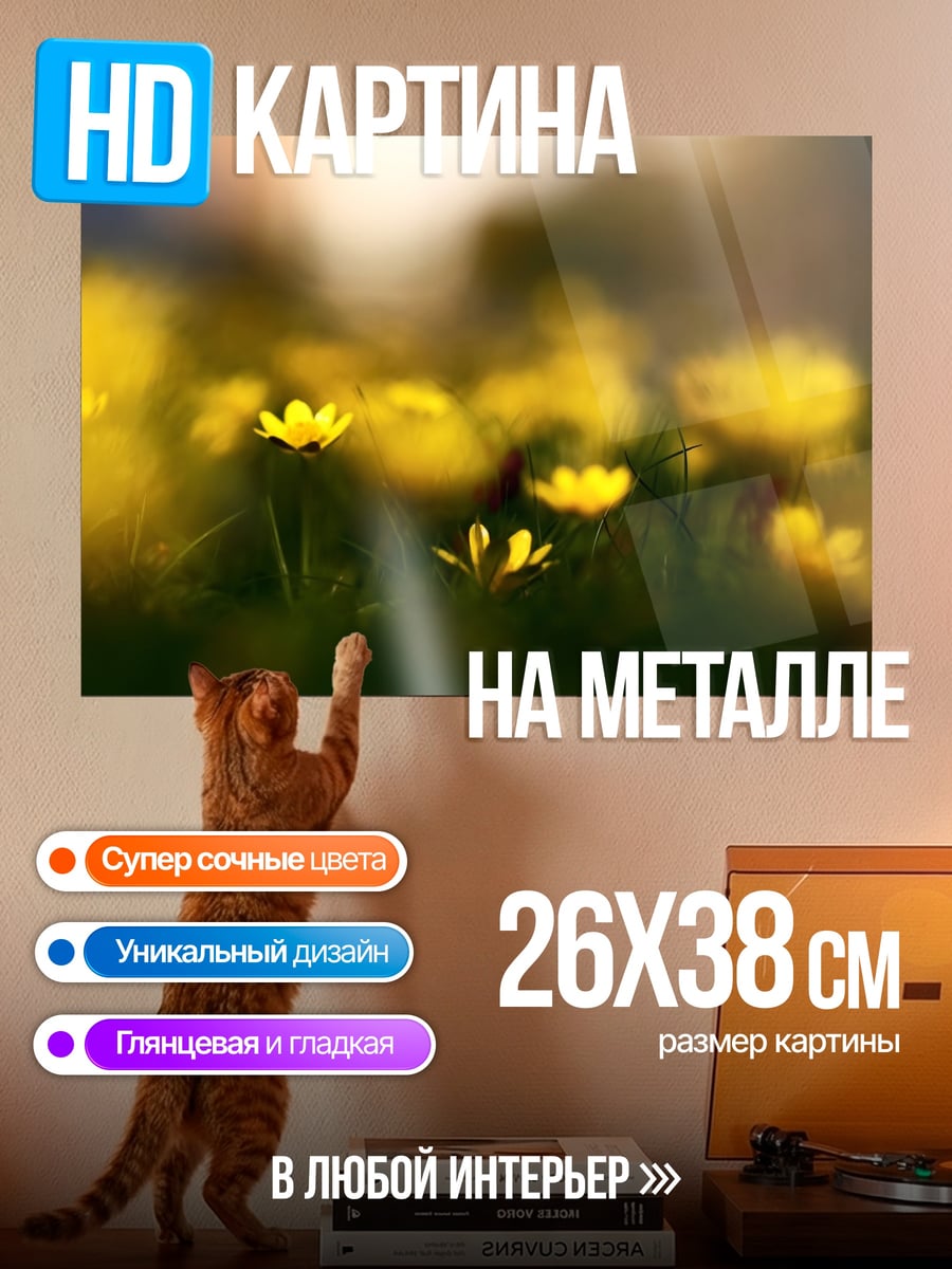Картина на металле Желтые цветы на лугу