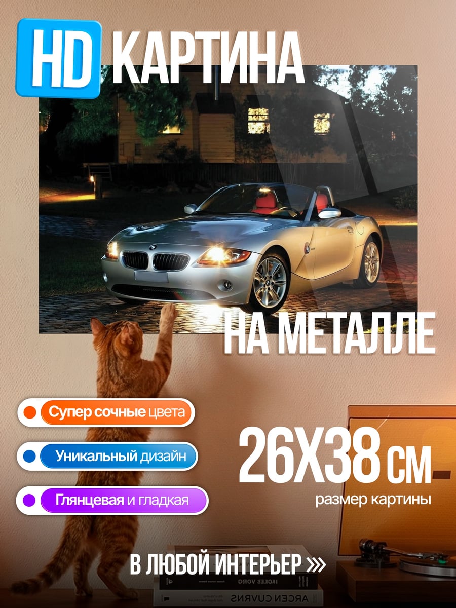 Картина на металле BMW Z4