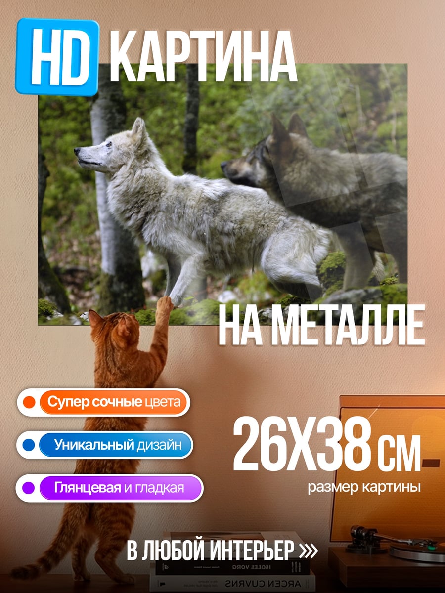 Картина на металле Два волка в лесу