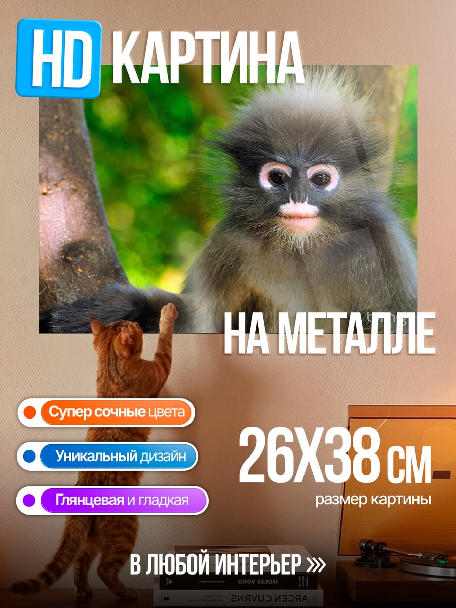 Картина на металле Обезьяна в лесу