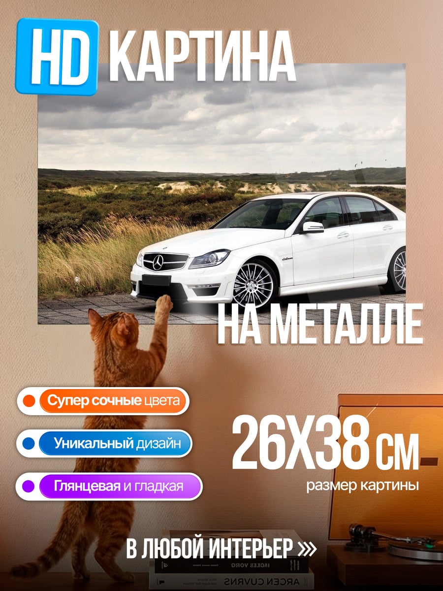 Картина на металле белый седан на дороге