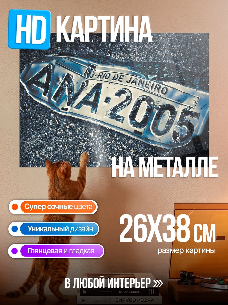 Картина на металле номерной знак Рио