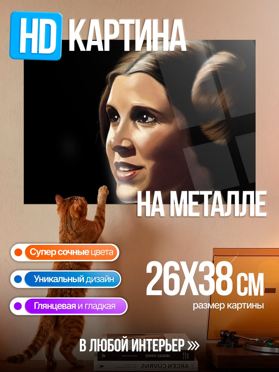 Картина на металле Принцесса Лея
