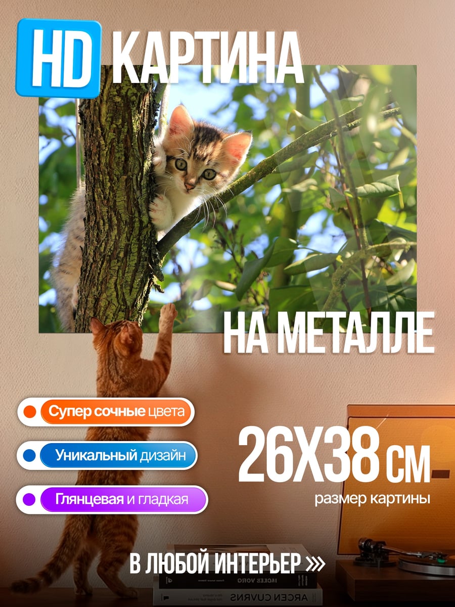 Картина на металле Котёнок на дереве