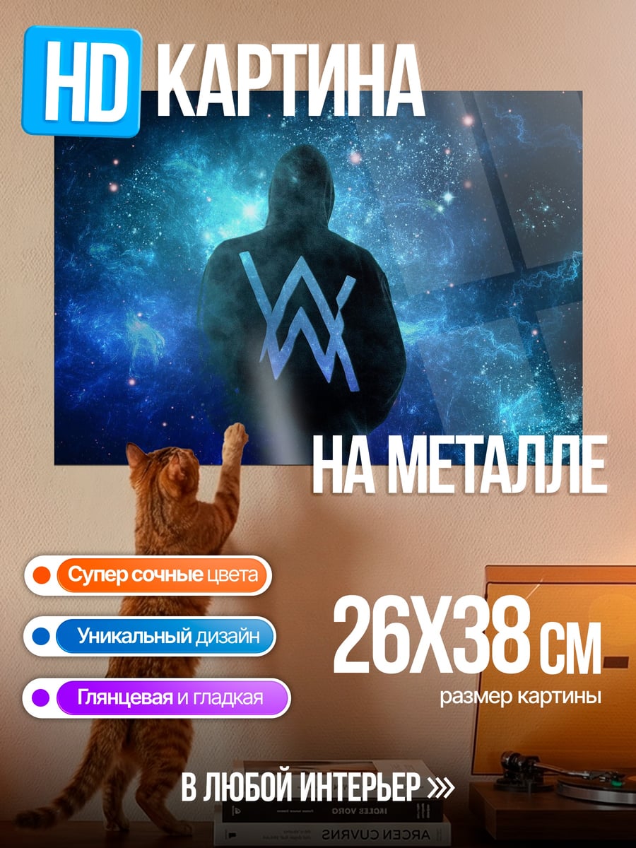 Картина на металле Алан Уокер космос