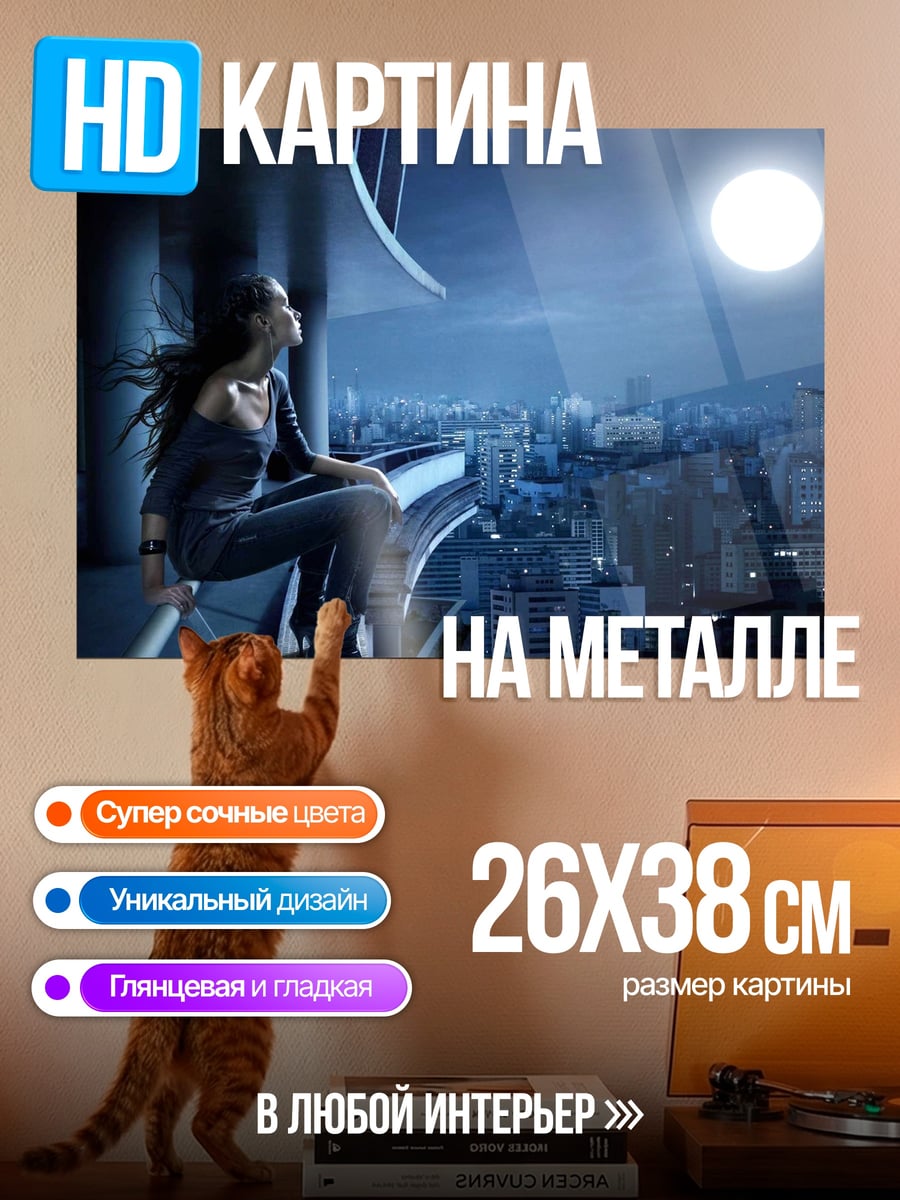 Картина на металле Девушка на крыше