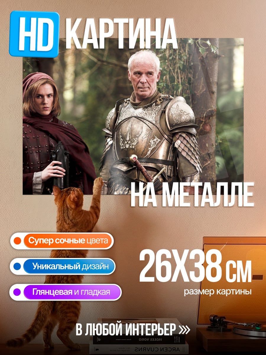 Картина на металле Рыцарь и леди