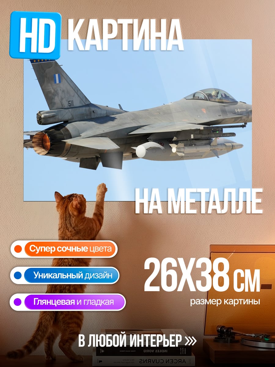 Картина на металле Военный самолет в небе
