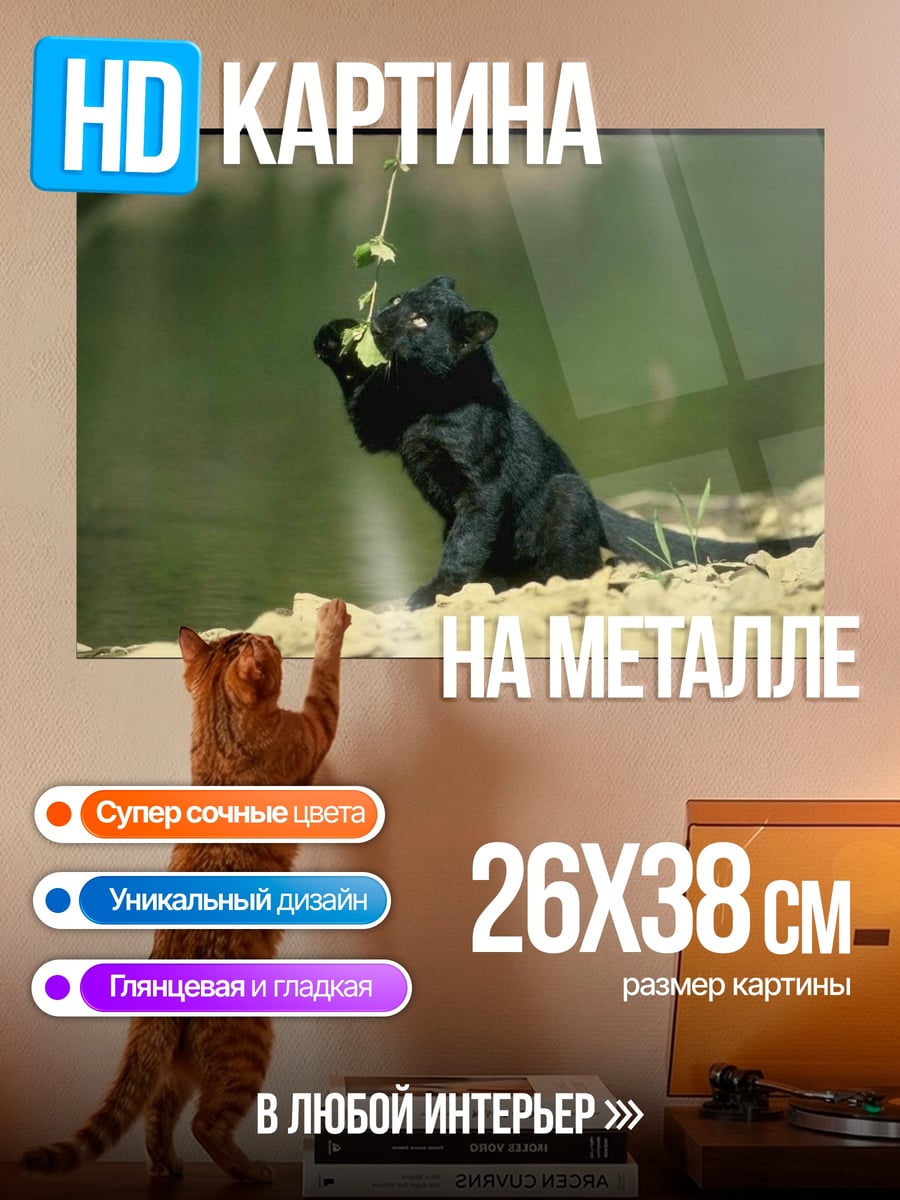 Картина на металле Черный котенок играет