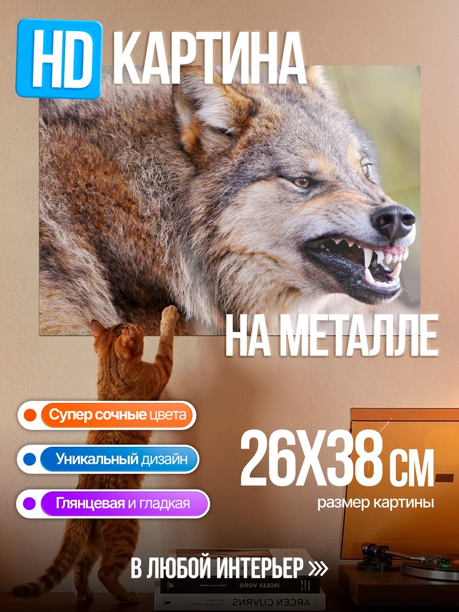 Картина на металле Злой волк рычит