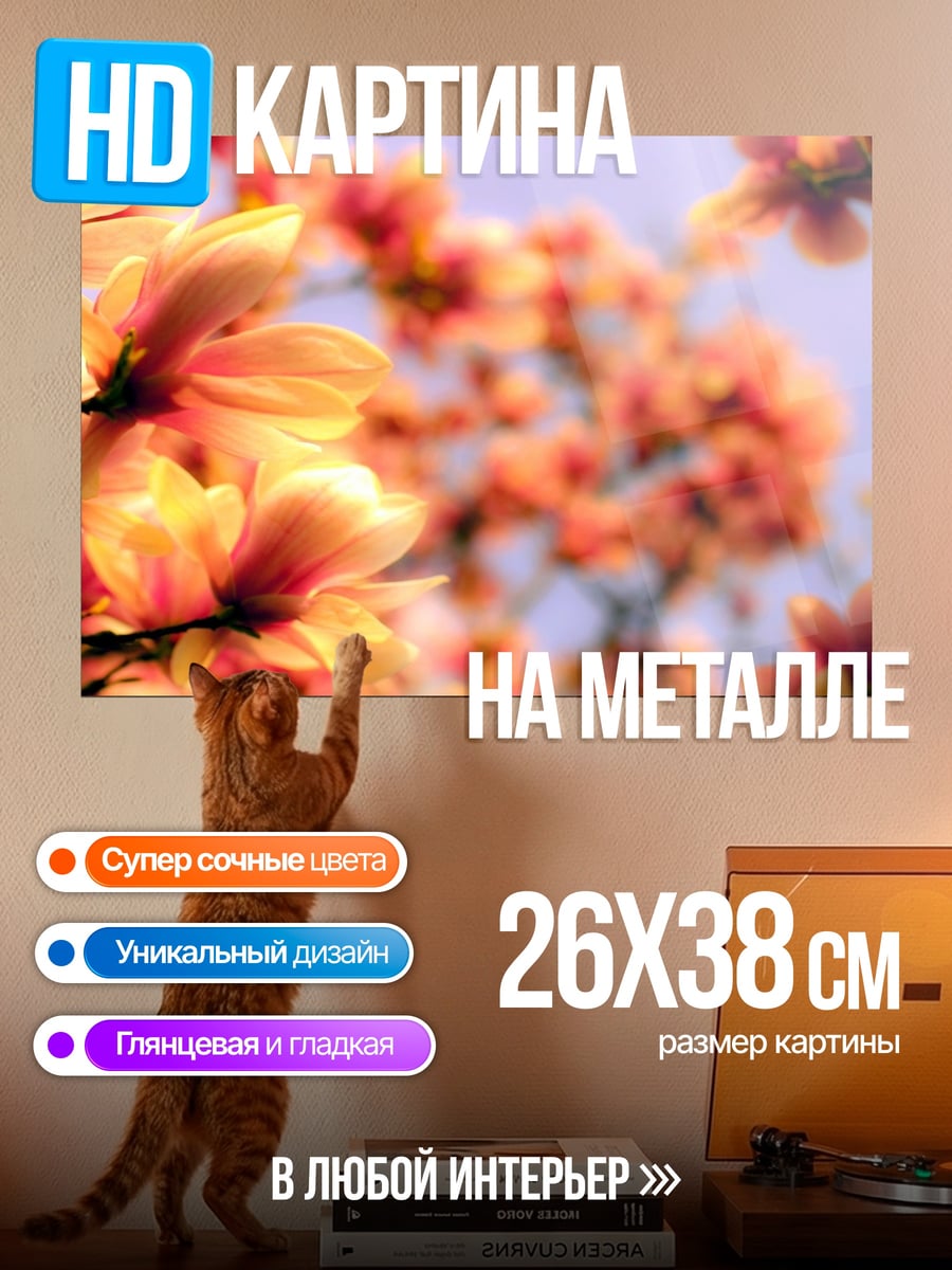 Картина на металле Цветущая сакура весной