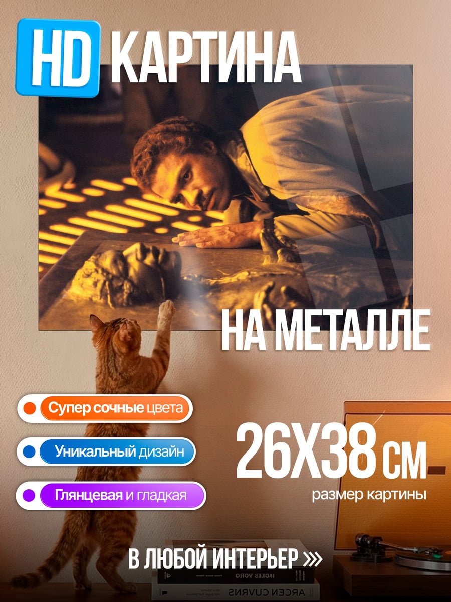Картина на металле Хан Соло Карбонит