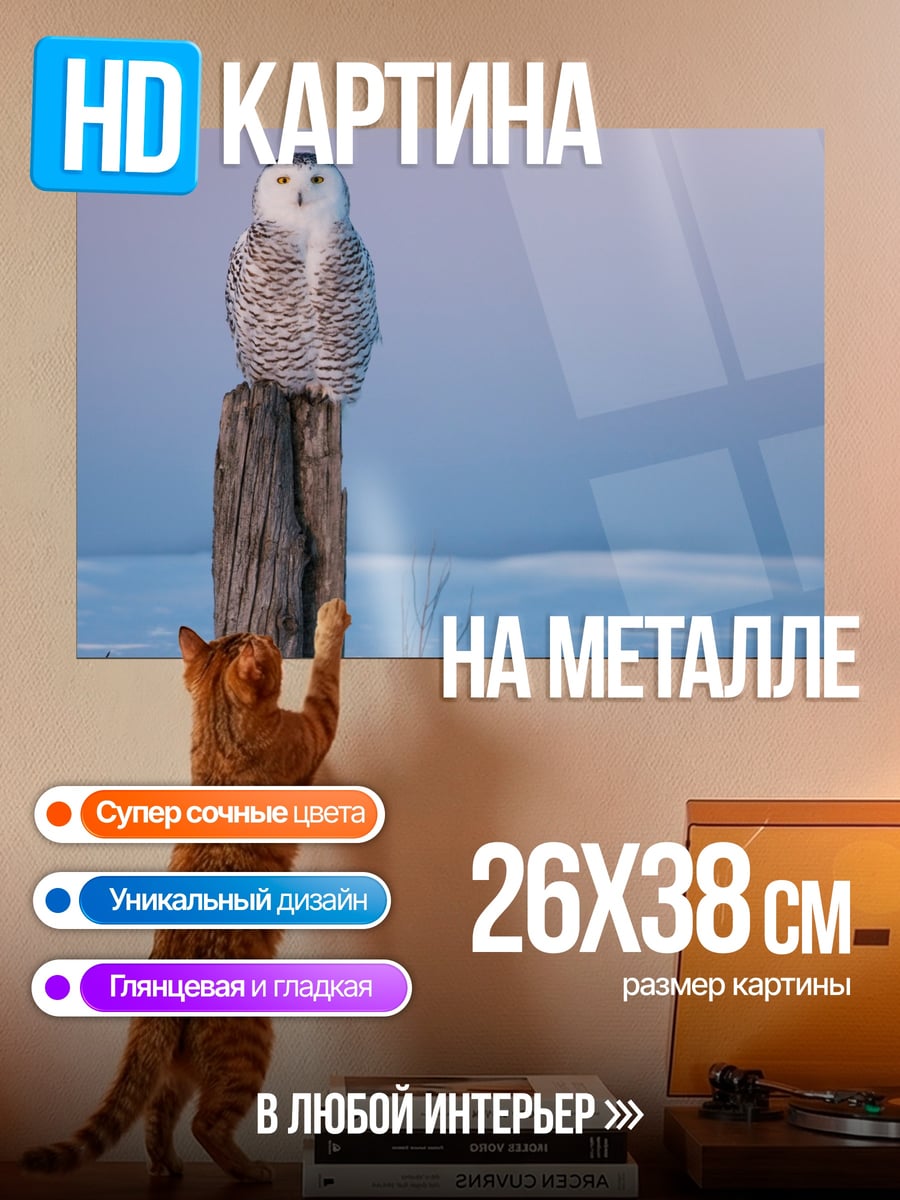 Картина на металле Белая сова на столбе