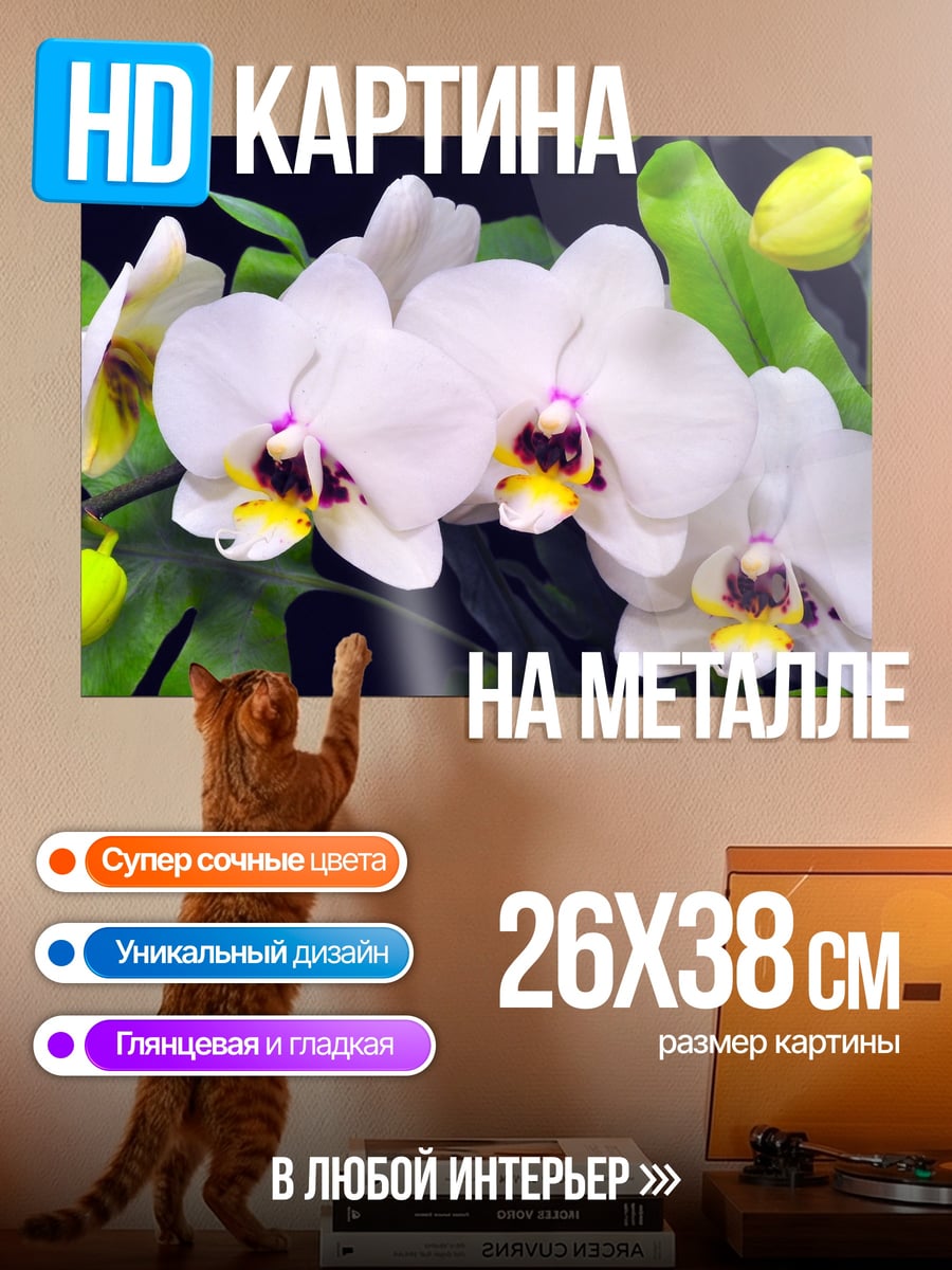 Картина на металле Белые орхидеи в саду