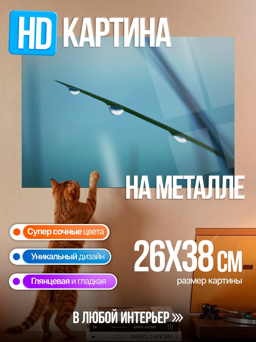 Картина на металле Капли росы трава