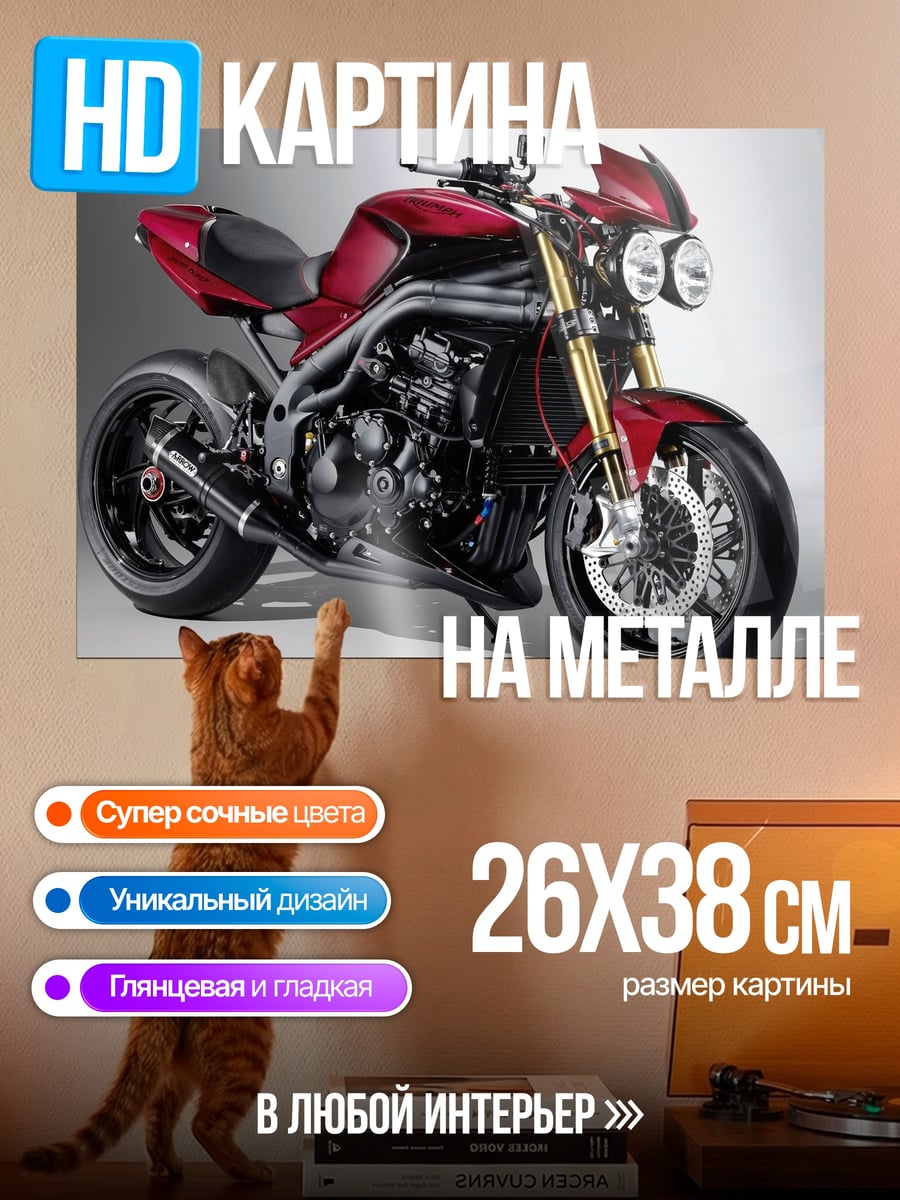 Картина на металле Красный мотоцикл