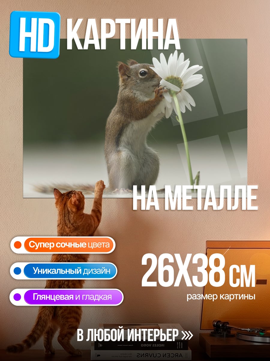 Картина на металле Белка с цветком