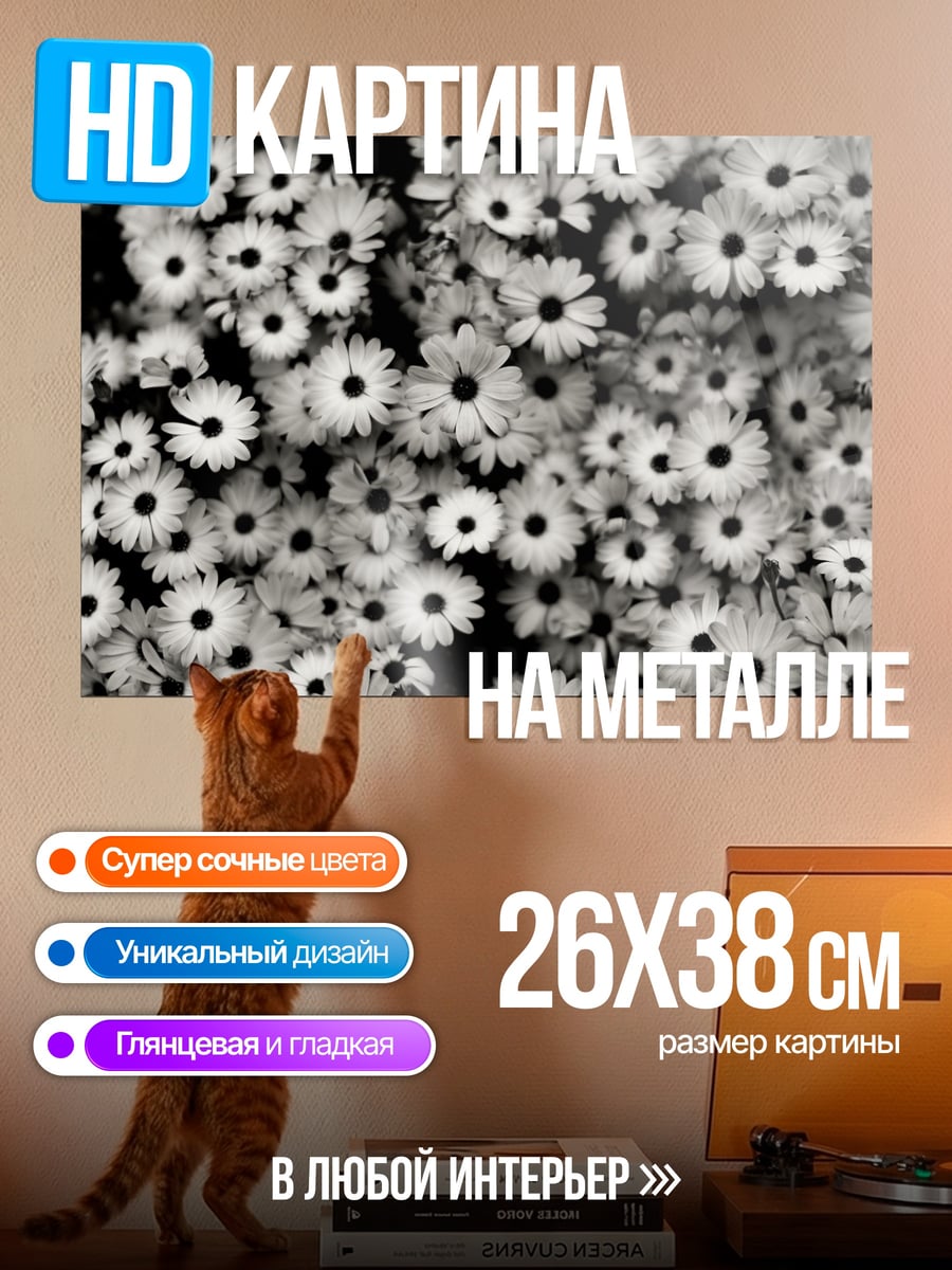 Картина на металле Поле ромашек