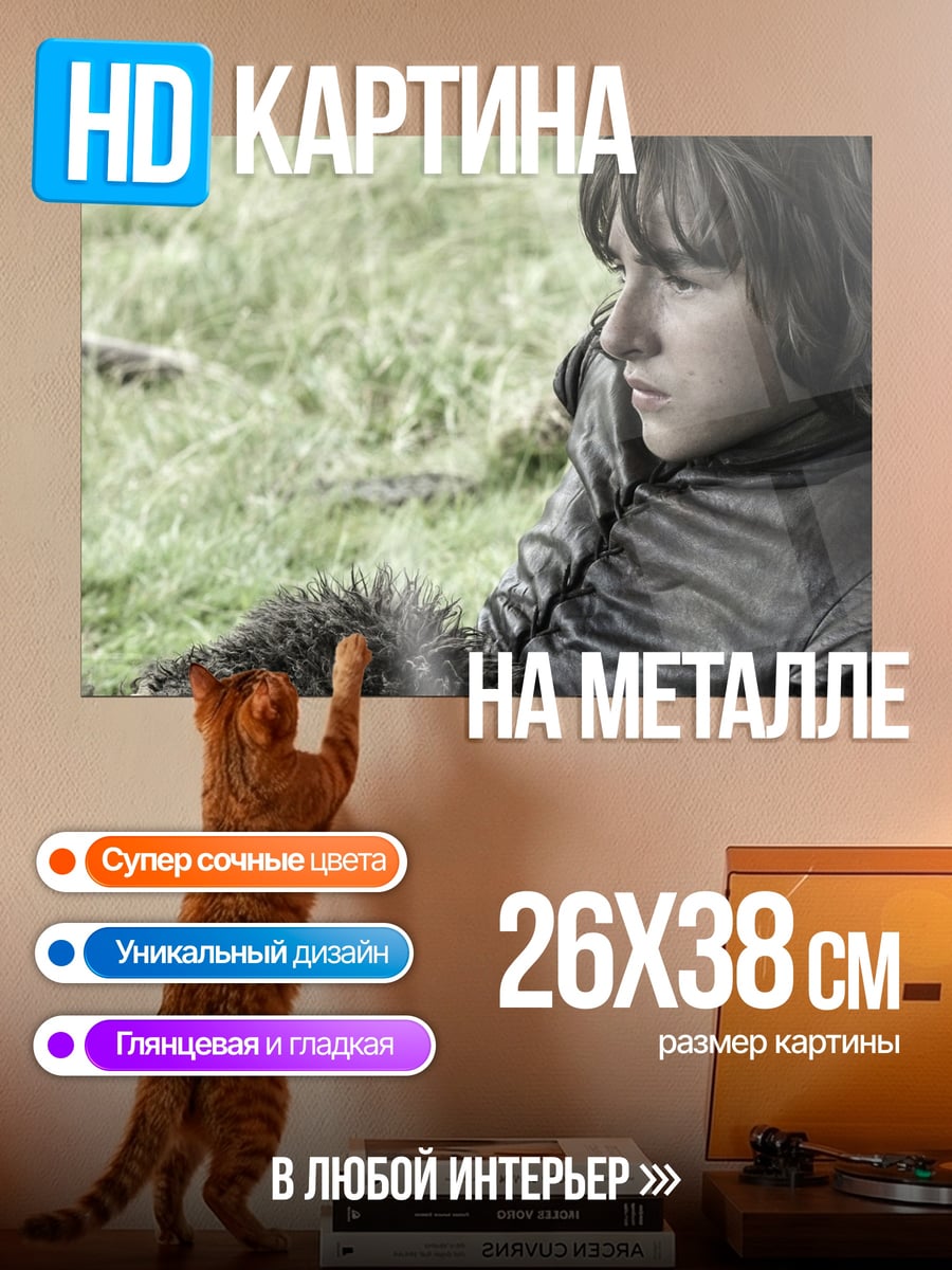 Картина на металле Бран Старк