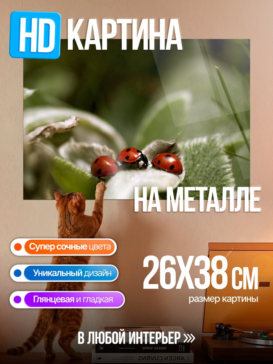 Картина на металле Три божьих коровки