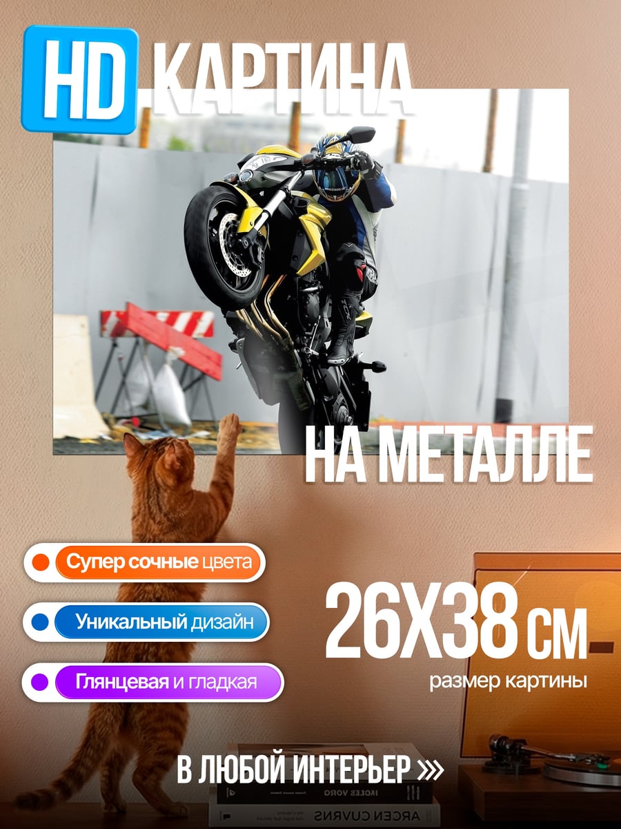 Картина на металле Мотоциклист на заднем колесе